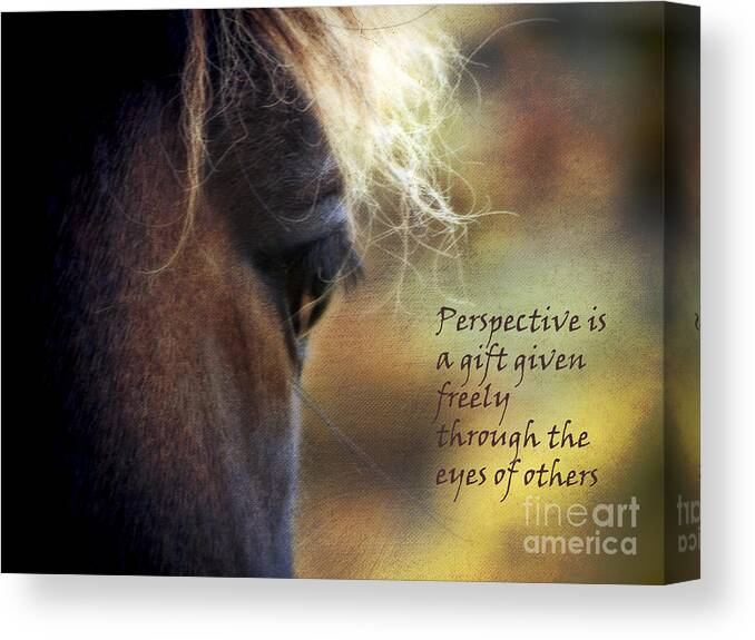 Perspective Canvas Print featuring the photograph Perspective is a Gift by Karen Lewis