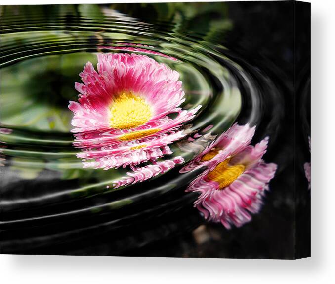 Petal Canvas Print featuring the photograph Petal Ripple by Zinvolle Art