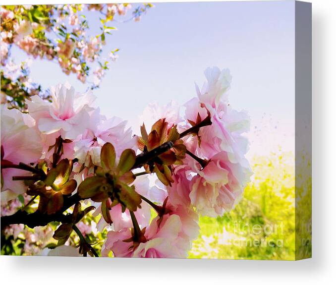 Pink Canvas Print featuring the photograph Petals in the Wind by Robyn King