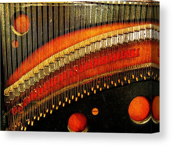 Piano Strings Canvas Print featuring the photograph Piano Strings by Randi Kuhne