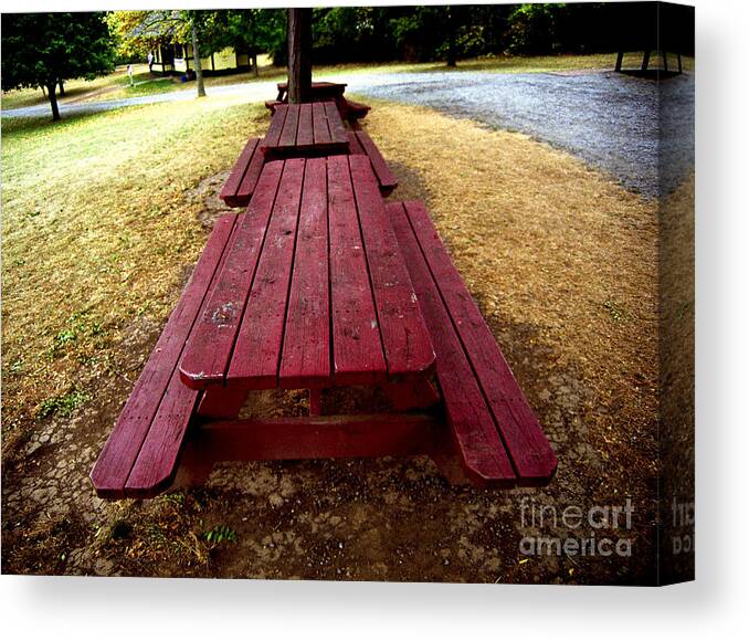 Picnic Tables Canvas Print featuring the photograph Picnic Tables in a Row by Tom Brickhouse
