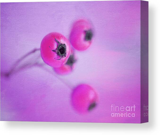 Macro Photo Of Berries Canvas Print featuring the photograph Pink Dream Berry by Irina Wardas