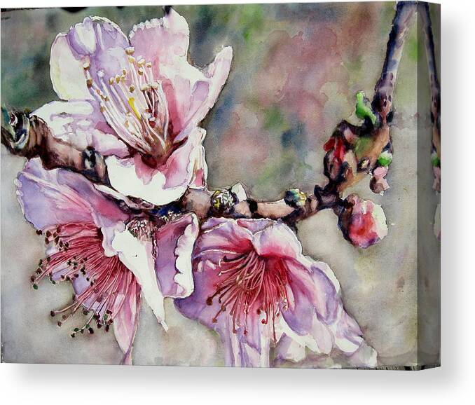  Floral . Pink . Branches . Nature  Macro Canvas Print featuring the painting Pink Magnolias by June Conte Pryor