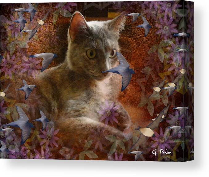 Cat Canvas Print featuring the photograph Pinky's Dream by George Pedro