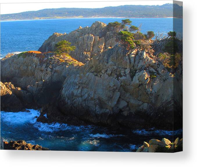 Point Lobos Canvas Print featuring the photograph Point Lobos Number 9 by Derek Dean