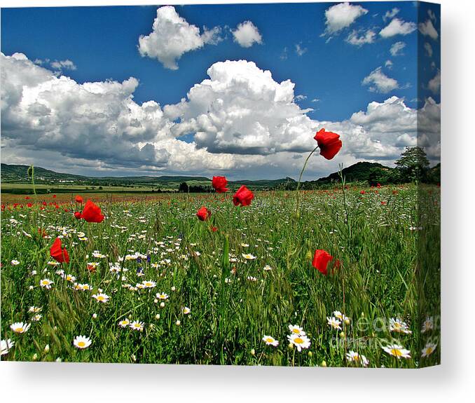 Poppied Canvas Print featuring the photograph Poppied Landscape by Alexa Szlavics