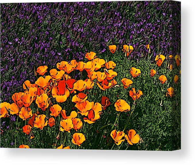 Flowers Canvas Print featuring the digital art Poppies and French Lavender by Ben Freeman