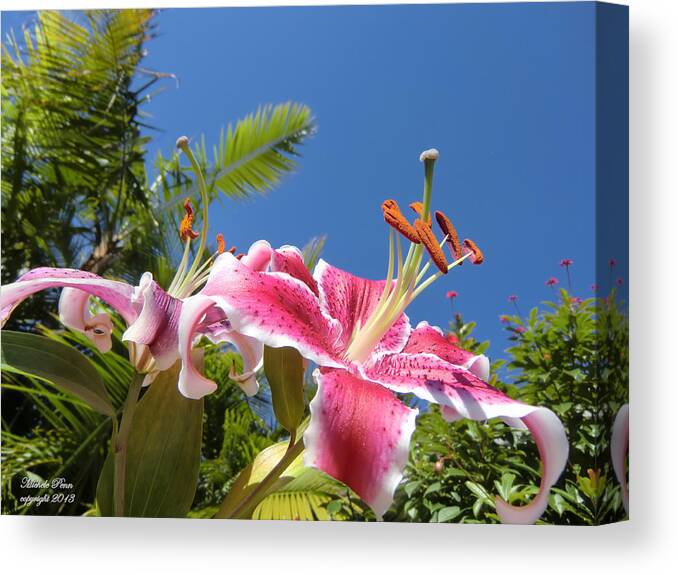 Flower Photograph Canvas Print featuring the photograph Possibilities by Michele Penn