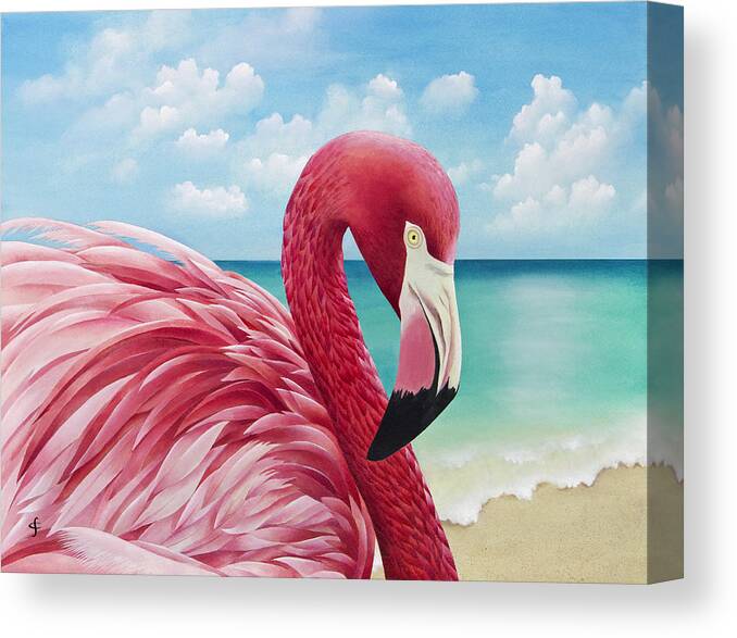 Carolyn Steele Canvas Print featuring the photograph Pretty In Pink by MGL Meiklejohn Graphics Licensing