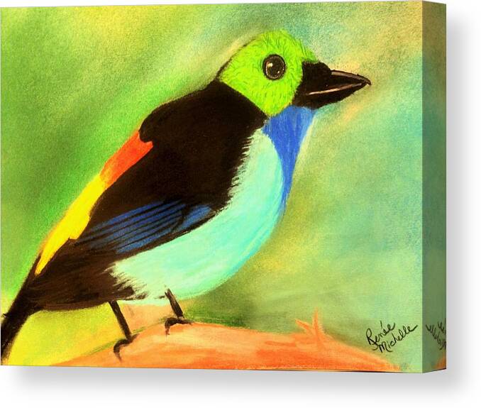Bird Canvas Print featuring the pastel Pretty Paradise Tanager by Renee Michelle Wenker