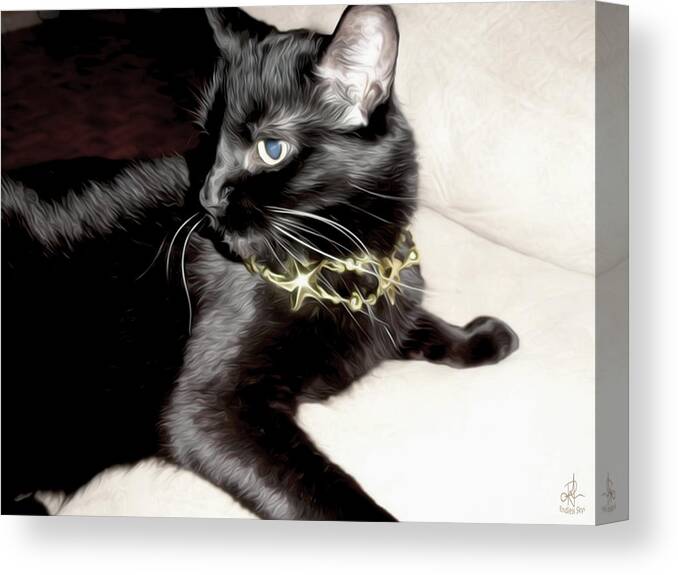 Cats Canvas Print featuring the photograph Princess Lucy by Pennie McCracken