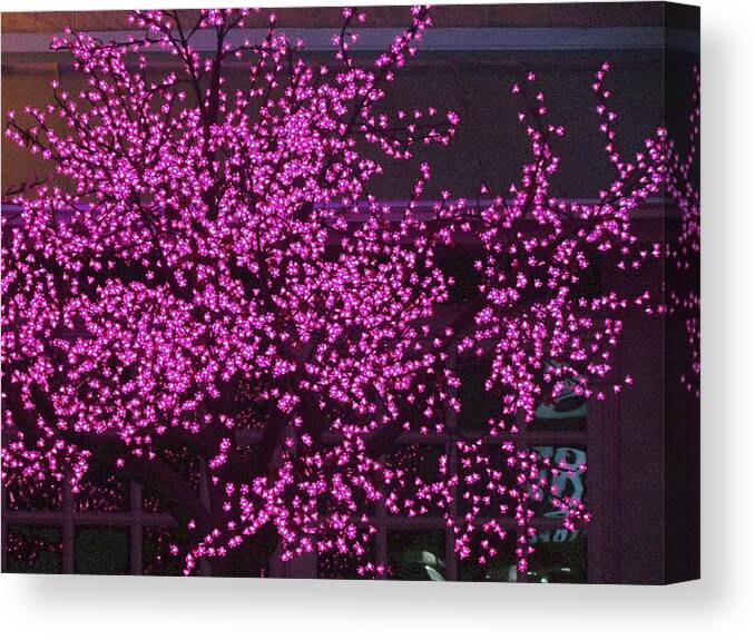 Decorative Canvas Print featuring the photograph Purple Lights by Shawn Hughes