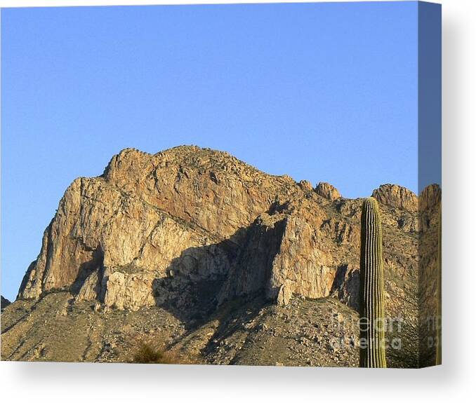 Push Ridge Canvas Print featuring the photograph Pusch Ridge with Saguaro by Rincon Road Photography