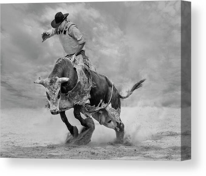Action Canvas Print featuring the photograph Ram Rodeo by Yun Wang