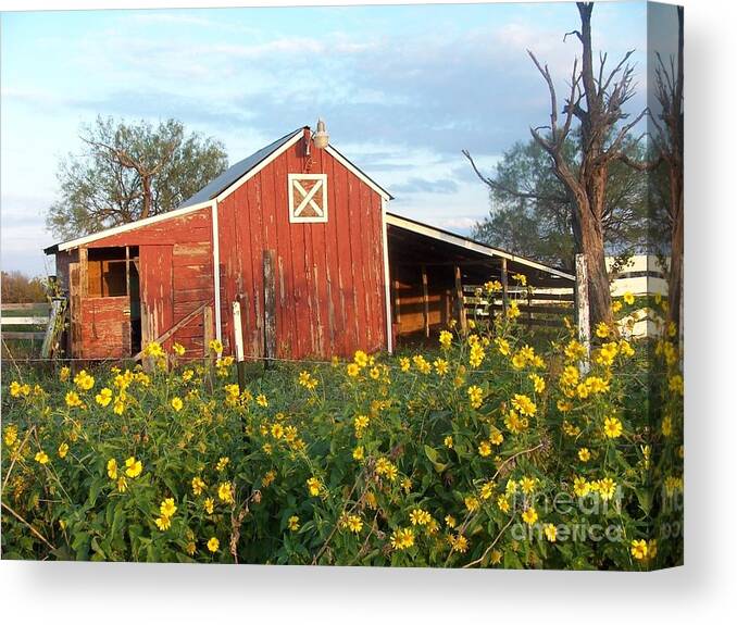 Red Barn Canvas Print featuring the photograph Red Barn With Wild Sunflowers by Susan Williams