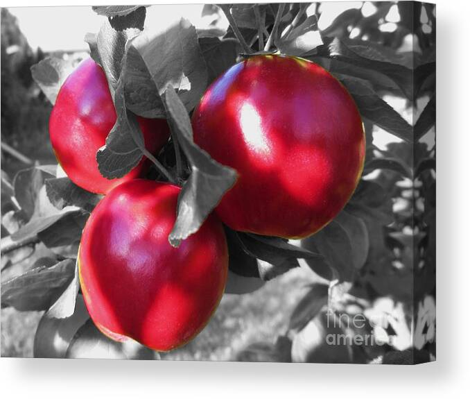 Red Riding Hood Canvas Print featuring the photograph Red Riding Hood by Martin Howard