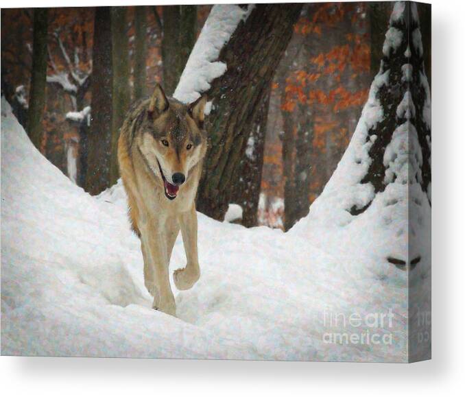 Animals Canvas Print featuring the digital art Red Wolf on a Winter Hunt by Lianne Schneider