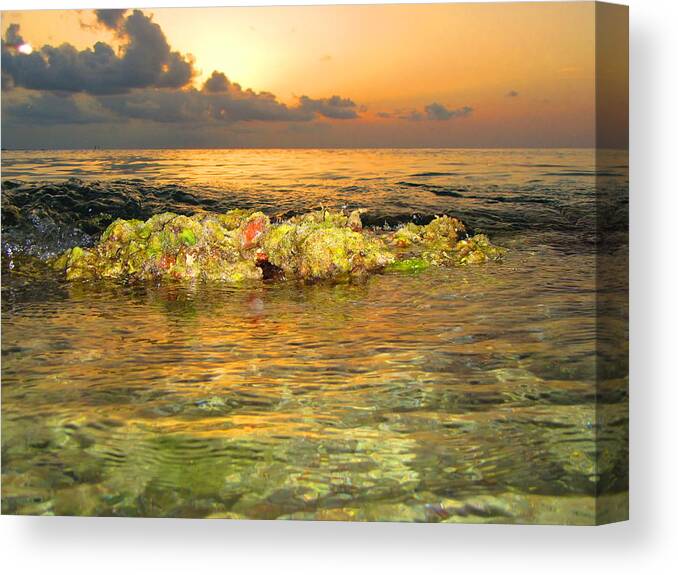 Sandy Canvas Print featuring the photograph Reef Tide by Capt Pat Moran