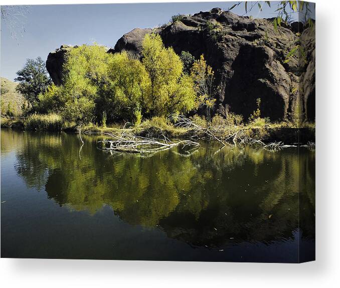 Reflections Canvas Print featuring the photograph Reflections at the Lake by Lucinda Walter