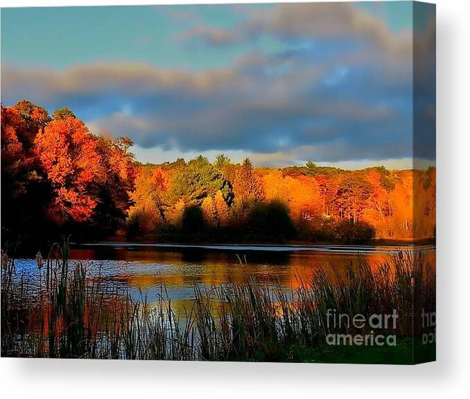 Autumn Canvas Print featuring the photograph Resonate by Dani McEvoy