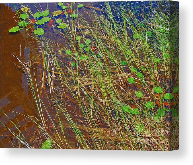 Landscape Canvas Print featuring the photograph Ridges Illusion by Jim Rossol