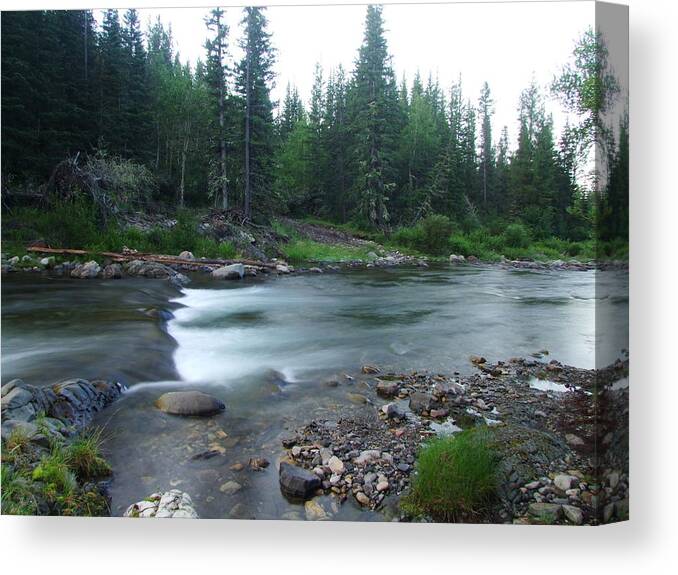 Creek Canvas Print featuring the photograph Trout Stream 001 by Phil And Karen Rispin