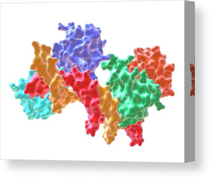 Alpha Canvas Print featuring the photograph Rna Polymerase Alpha C-terminal Domain by Alfred Pasieka