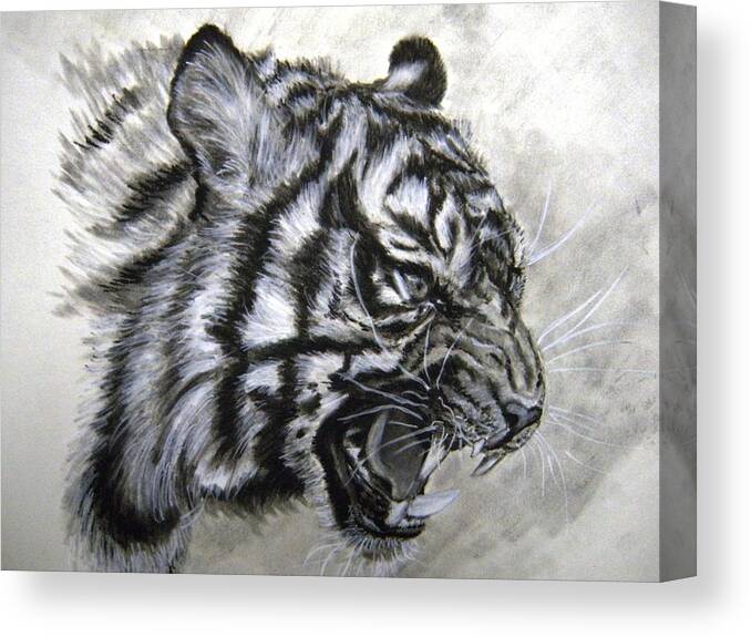 Animals Canvas Print featuring the drawing Roaring Tiger by Lori Ippolito