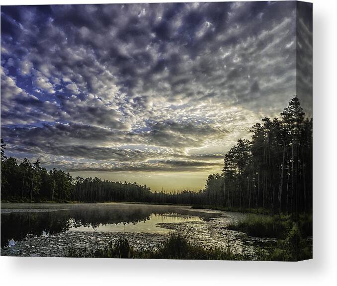 Nature Canvas Print featuring the photograph Roberts Branch Pine-lands Landscape by Louis Dallara