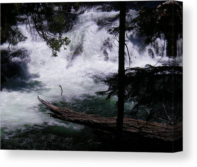 Rogue River Canvas Print featuring the photograph Rogue River by Jessica Levant
