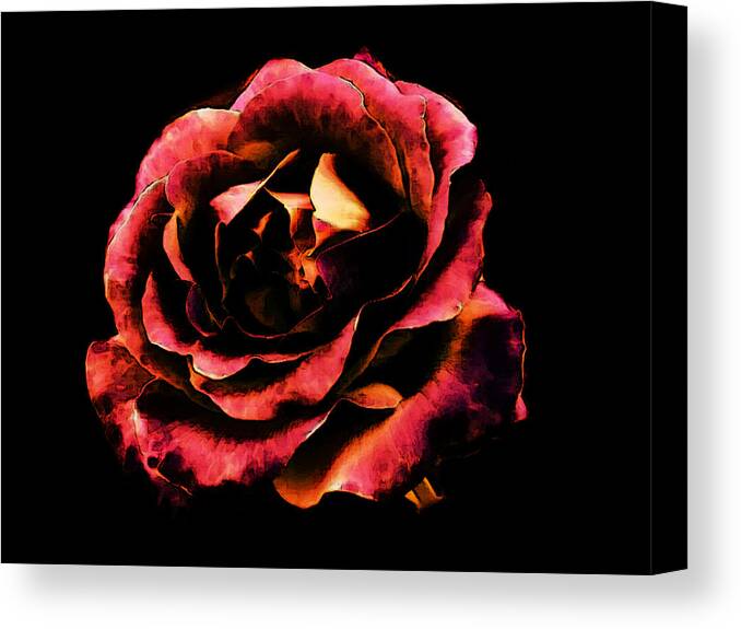 Rose Canvas Print featuring the photograph Rose Red by Sophia Gaki Artworks