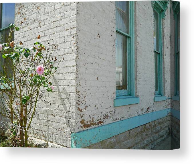 House Canvas Print featuring the photograph Rose White Blue House by Kathy Barney