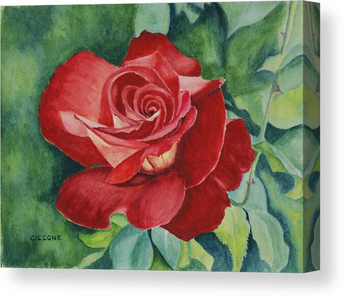 Floral Canvas Print featuring the painting Roses Are Red by Jill Ciccone Pike