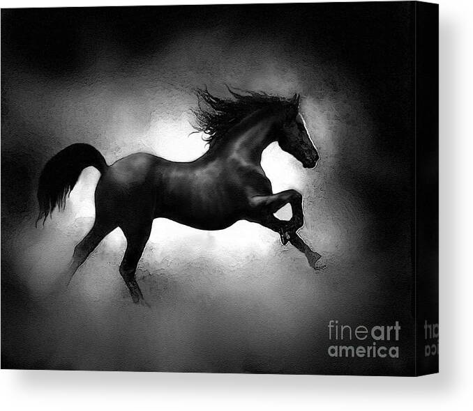 Horse Canvas Print featuring the painting Running Horse by Robert Foster