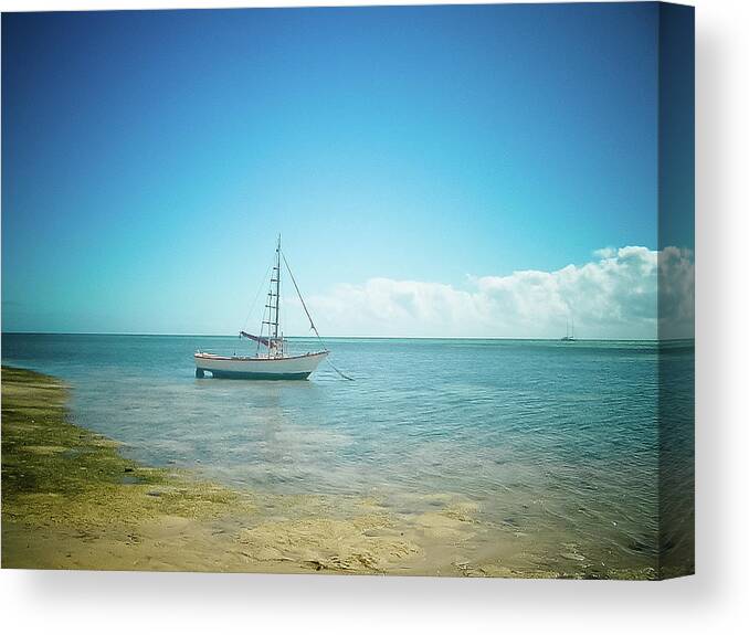 Tranquility Canvas Print featuring the photograph Sailboat On Shore by Christopher Kimmel