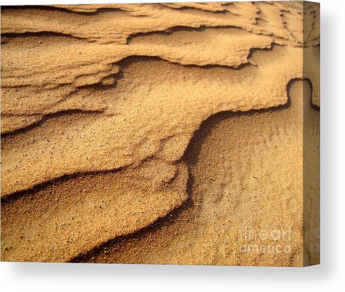 Arid Canvas Print featuring the photograph Sand by Amanda Mohler