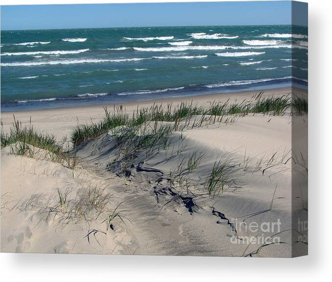 Indiana Dunes National Seashore Canvas Print featuring the photograph Sand Ripples 2 by Cedric Hampton