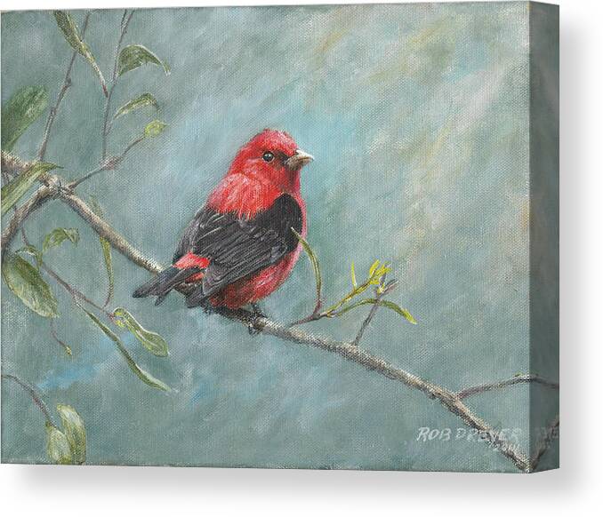 Scarlet Tanager Canvas Print featuring the painting Scarlet Tanager by Dreyer Wildlife Print Collections 