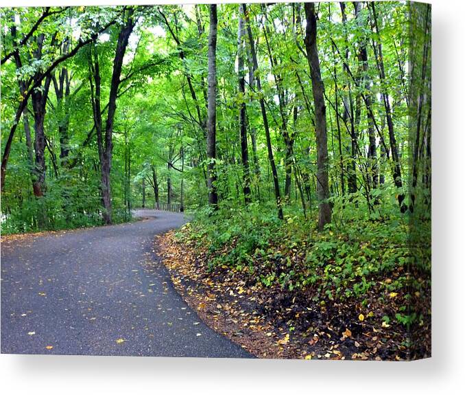 #scenicminnesotaarboretum Canvas Print featuring the photograph Scenic Minnesota 12 by Will Borden