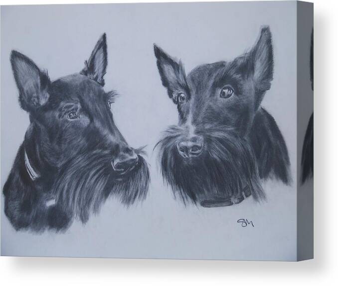 Scottie Dogs Pencil Drawing Animal Portraits People Portraits Commissions Canvas Print featuring the drawing Scotties by Sandra Muirhead
