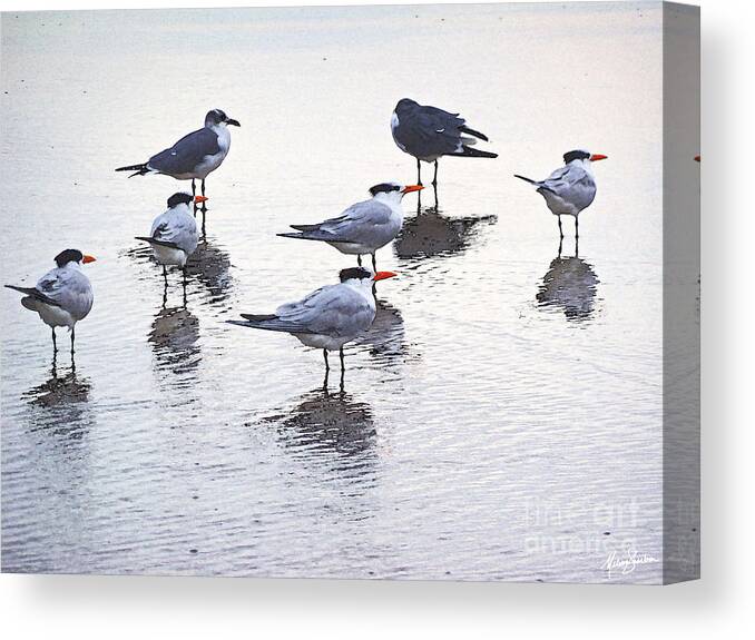Watercolor Canvas Print featuring the photograph Sea Birds No.2 by Melissa Fae Sherbon