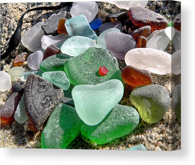 Janice Drew Canvas Print featuring the photograph Sea glass in multicolors by Janice Drew