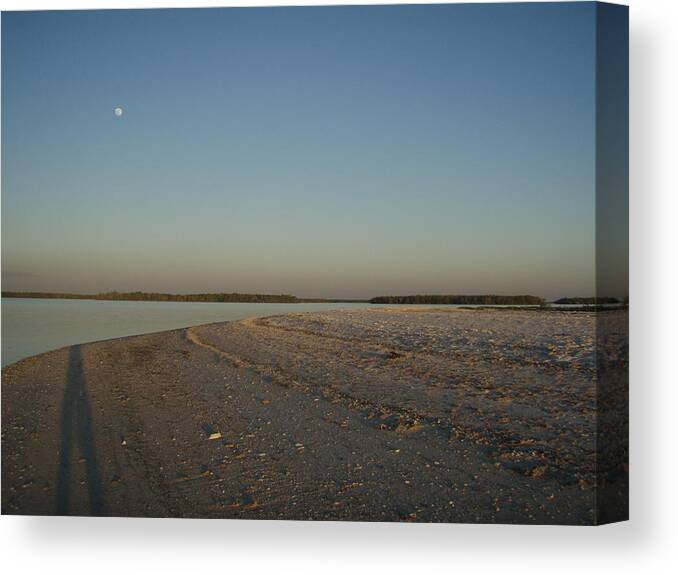 Everglades Canvas Print featuring the photograph Shadow Moon by Robert Nickologianis