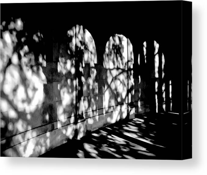 Shadow Canvas Print featuring the photograph Shadow Play - Black and White by Colleen Kammerer