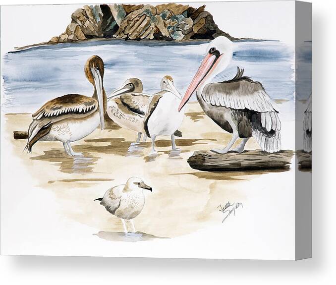 Birds Canvas Print featuring the painting Shore Birds by Joette Snyder
