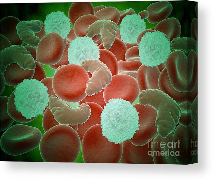 Abundance Canvas Print featuring the digital art Sickle Cell Anemia With Red Blood Cells by Stocktrek Images