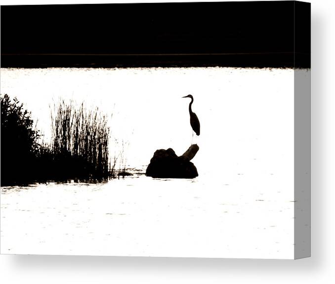 Silhouette Canvas Print featuring the photograph Silhouette by Zinvolle Art