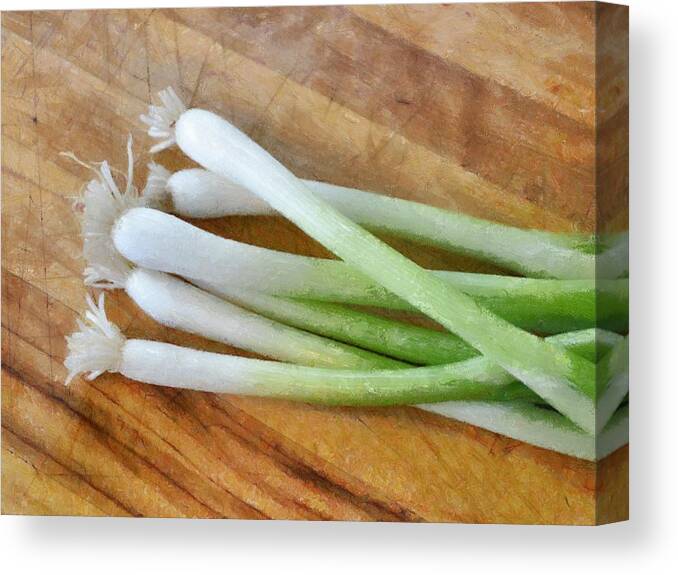 Food Art Canvas Print featuring the photograph Six Scallions by Michelle Calkins