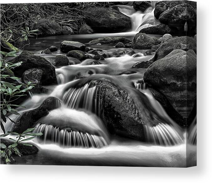 Tremont Area Canvas Print featuring the photograph Smoky Mountains Cascades by Donald Brown