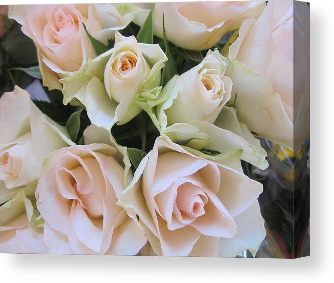 Flowerromance Canvas Print featuring the photograph Smoothly by Rosita Larsson